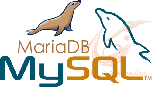 نصب و ارتقا mysql Mariadb دایرکت ادمین