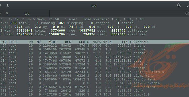 linux top command output