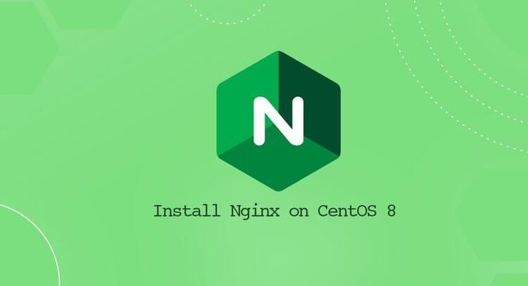 Nginx را روی آن نصب کنید CentOS 8