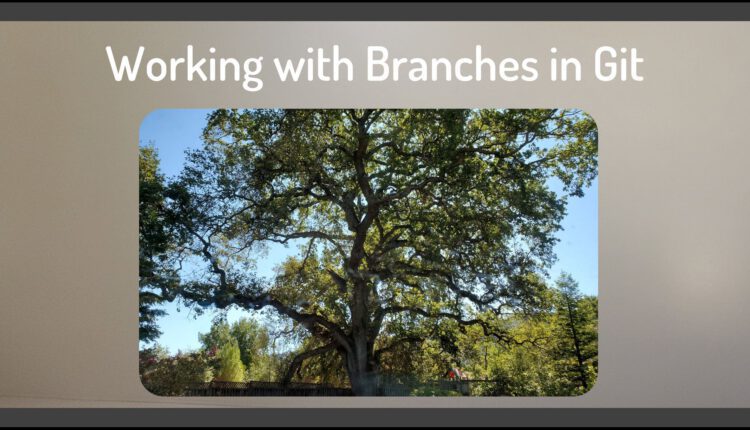 نحوه کار با Branches در Git
