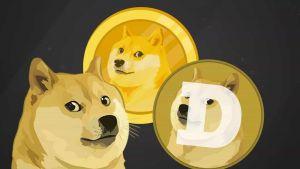 نحوه استخراج dogecoin doge