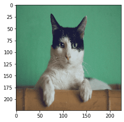 RandAugment برای طبقه بندی تصویر با Keras/TensorFlow
