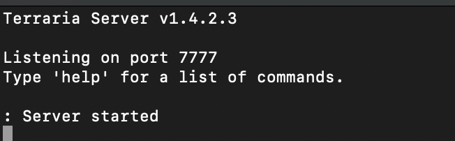 ترمینال نشان می دهد که سرور Terraria راه اندازی شده است