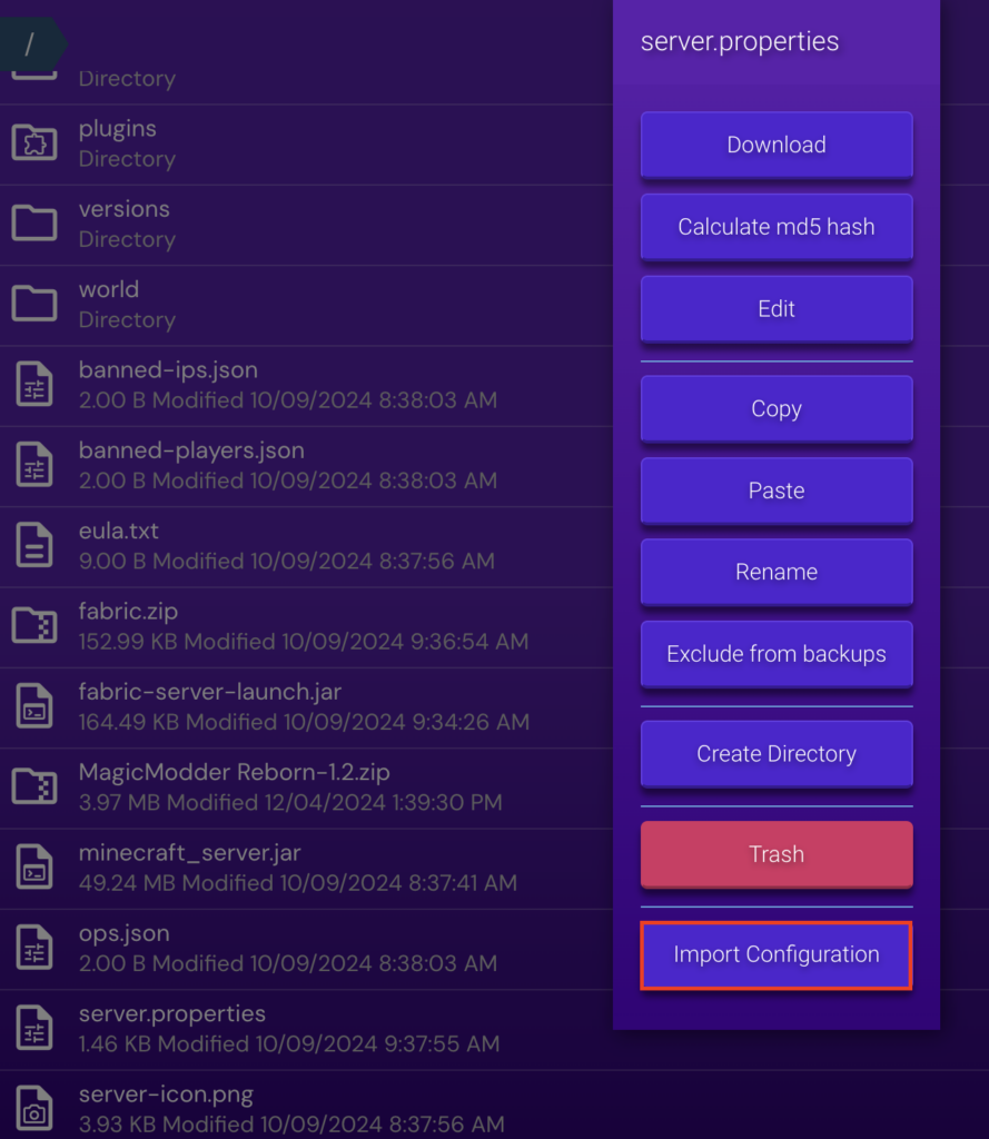 دکمه Import Configuration در مدیریت فایل پنل بازی