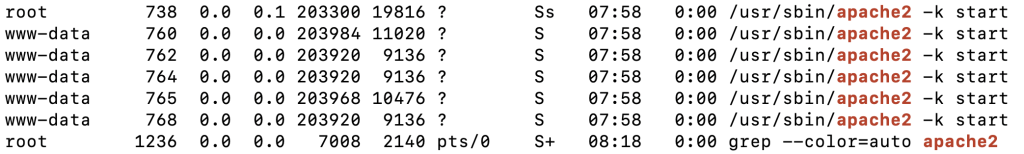 ps aux | خروجی دستور grep apache2 در terminal